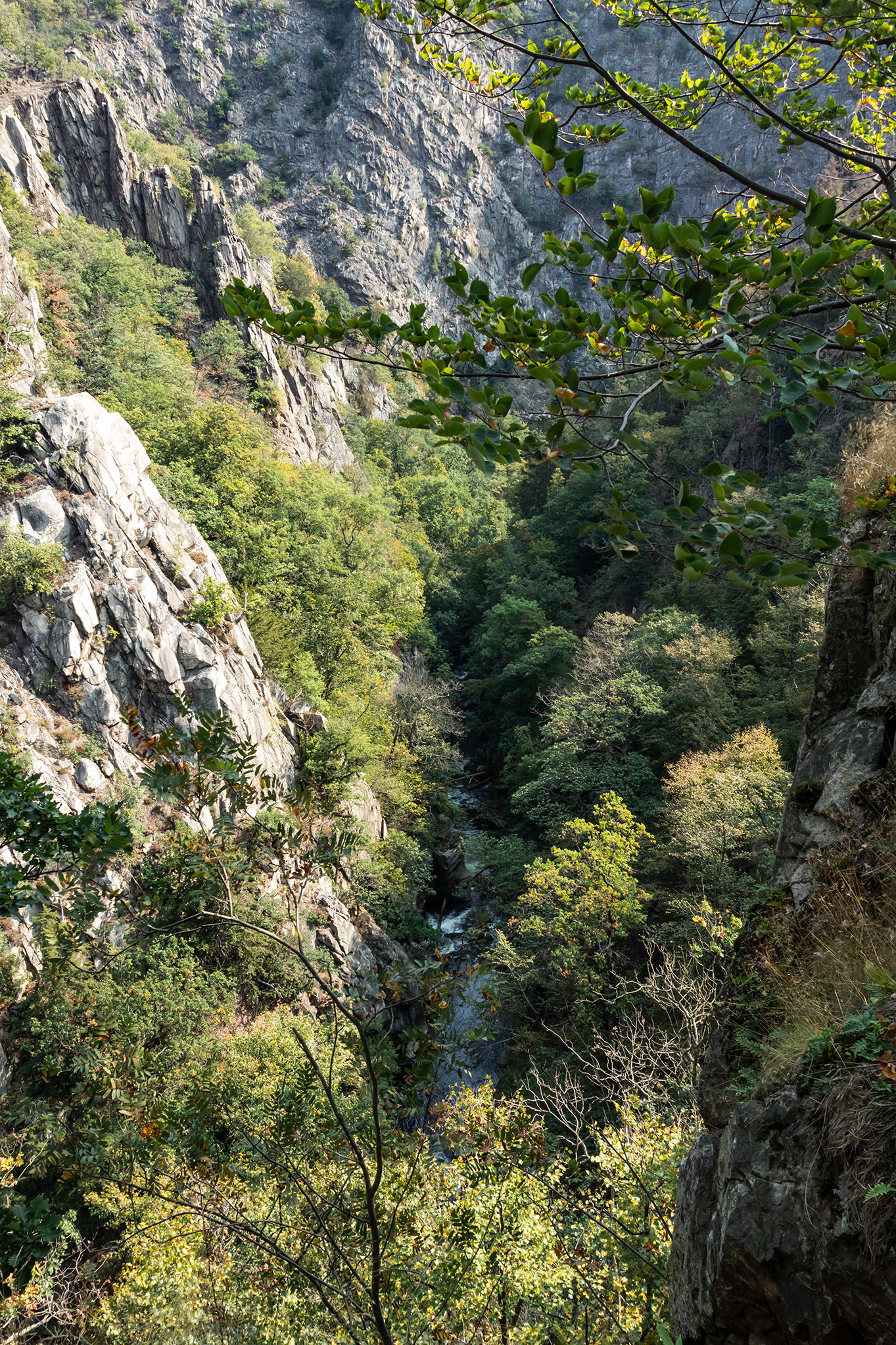Blick vom Aussichtspunkt.jpg